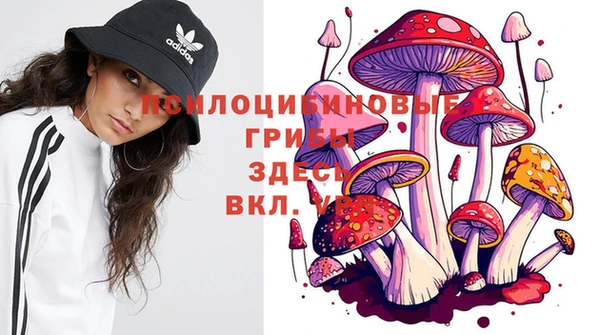 стафф Карталы