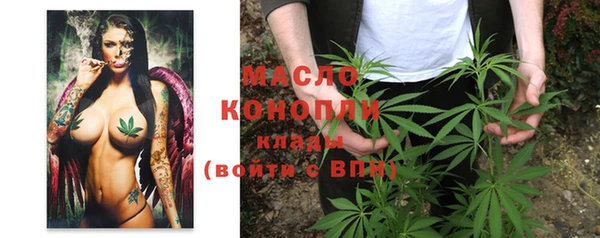дмт Кинешма