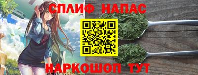 Альфа ПВП Гатчина