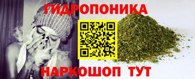 Альфа ПВП Гатчина