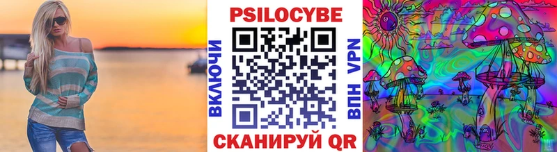 omg как зайти  Коркино  Галлюциногенные грибы Cubensis 