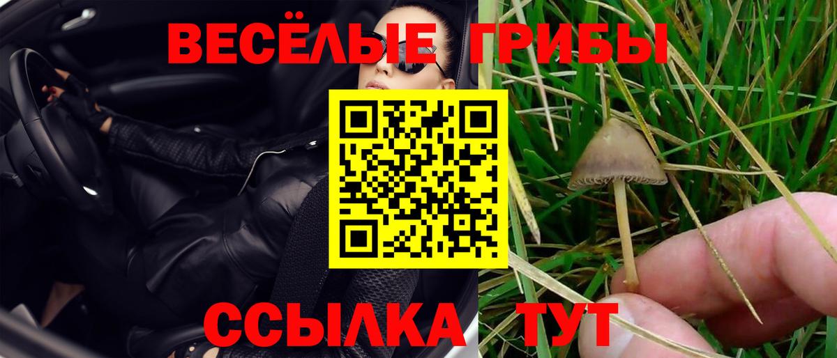 Коркино  Галлюциногенные грибы MAGIC MUSHROOMS  Вход с VPN 
